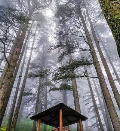 Kanatal